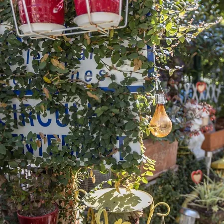 Апартаменты ,,la Chaumiere D'azur” *